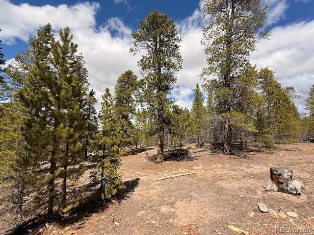 104 Spruce Drive Twin Lakes, CO 81251