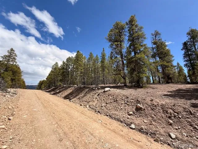 104 Spruce Drive Twin Lakes, CO 81251