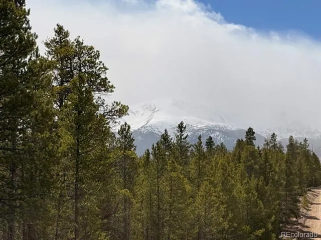 104 Spruce Drive Twin Lakes, CO 81251