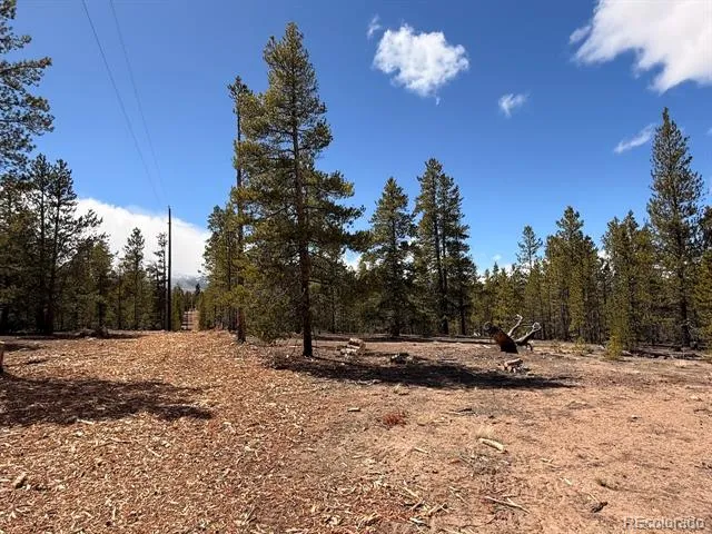 104 Spruce Drive Twin Lakes, CO 81251