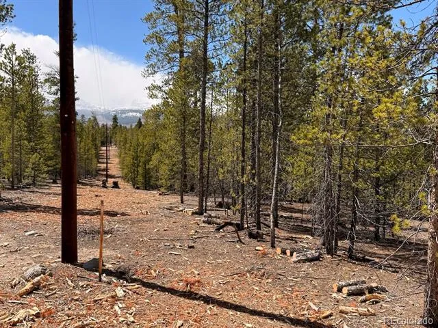 104 Spruce Drive Twin Lakes, CO 81251