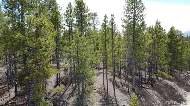 104 Spruce Drive Twin Lakes, CO 81251