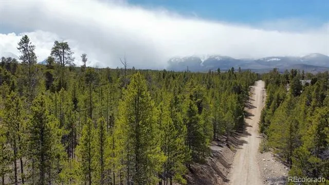 104 Spruce Drive Twin Lakes, CO 81251