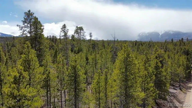 104 Spruce Drive Twin Lakes, CO 81251