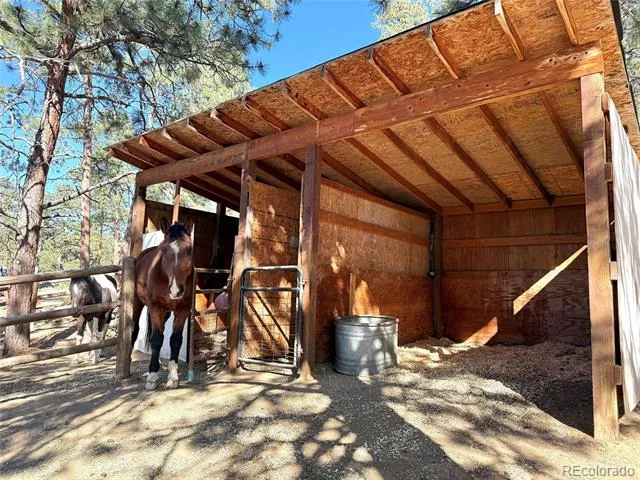 22867 Pawnee Road Indian Hills, CO 80454