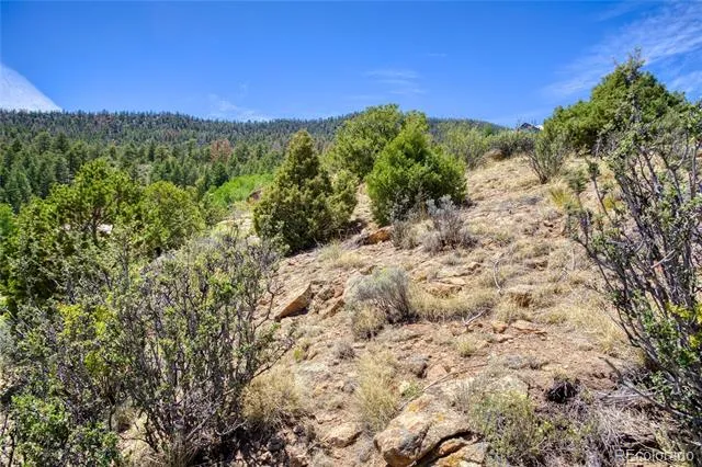120 Fairway Ridge Lane South Fork, CO 81154