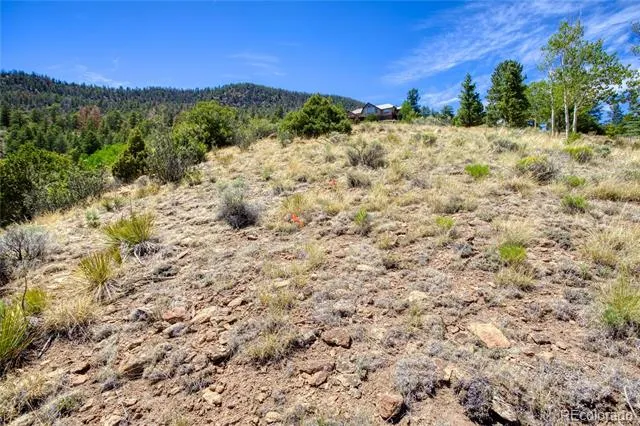 120 Fairway Ridge Lane South Fork, CO 81154