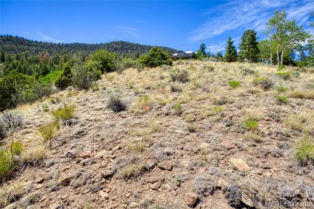 120 Fairway Ridge Lane South Fork, CO 81154