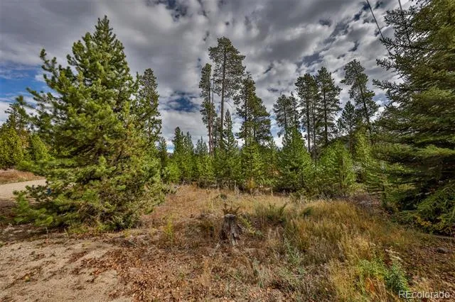 88 Leewood Road Grand Lake, CO 80447