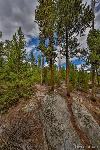 88 Leewood Road Grand Lake, CO 80447