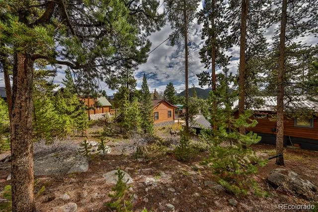 88 Leewood Road Grand Lake, CO 80447