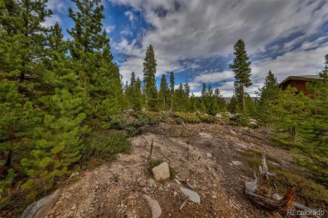 88 Leewood Road Grand Lake, CO 80447