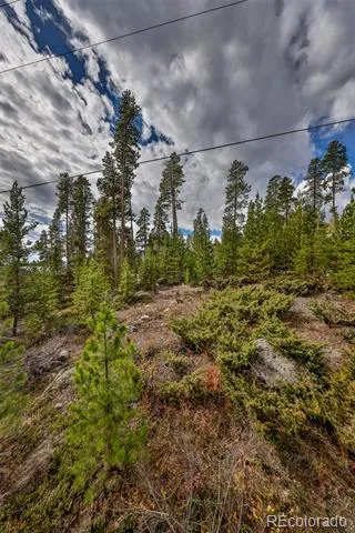 88 Leewood Road Grand Lake, CO 80447
