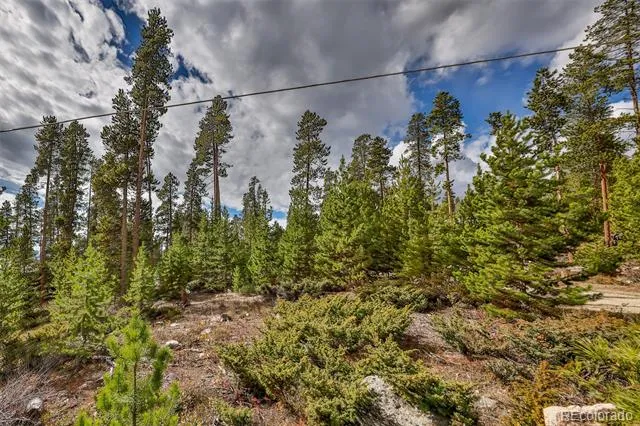 88 Leewood Road Grand Lake, CO 80447
