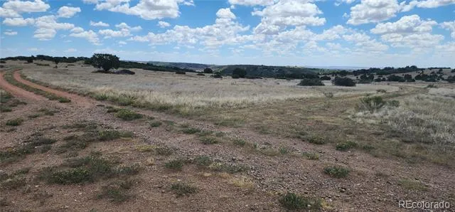 Lot 333 Patsy Circle Colorado City, CO 81019