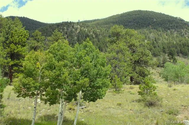 Hwy 24 Hartsel, CO 80827