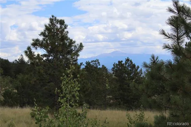 Hwy 24 Hartsel, CO 80827