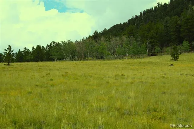 Hwy 24 Hartsel, CO 80827