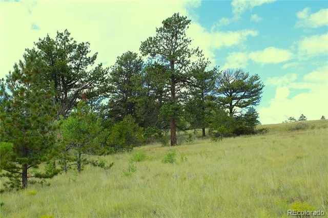 Hwy 24 Hartsel, CO 80827
