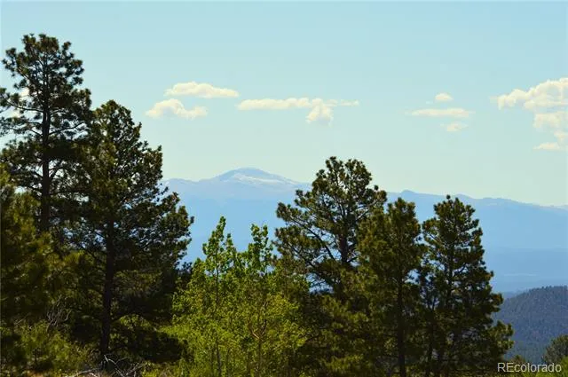 Hwy 24 Hartsel, CO 80827