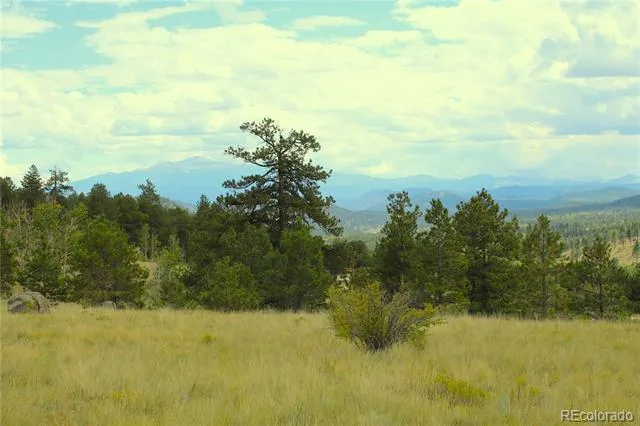 Hwy 24 Hartsel, CO 80827
