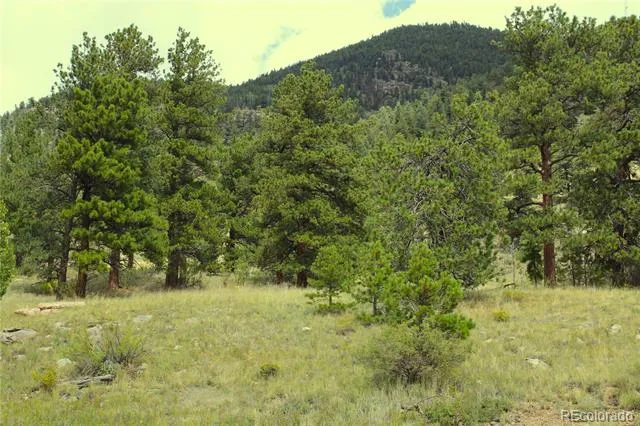 Hwy 24 Hartsel, CO 80827