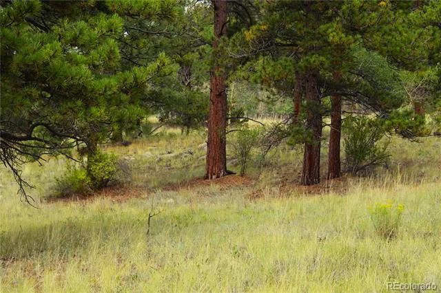 Hwy 24 Hartsel, CO 80827