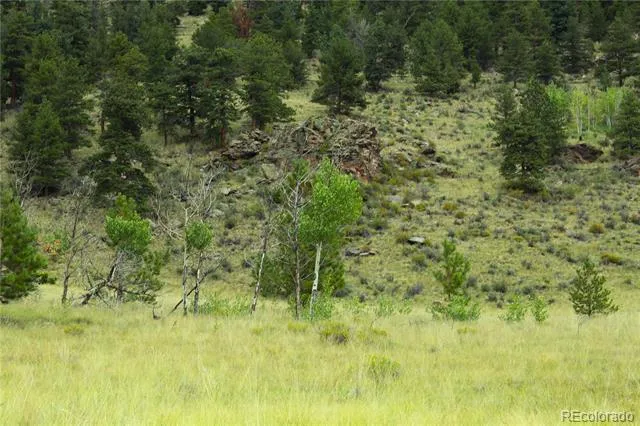 Hwy 24 Hartsel, CO 80827