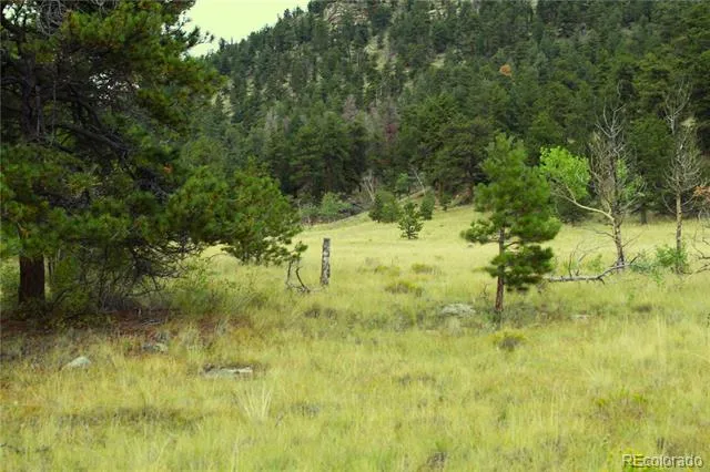 Hwy 24 Hartsel, CO 80827