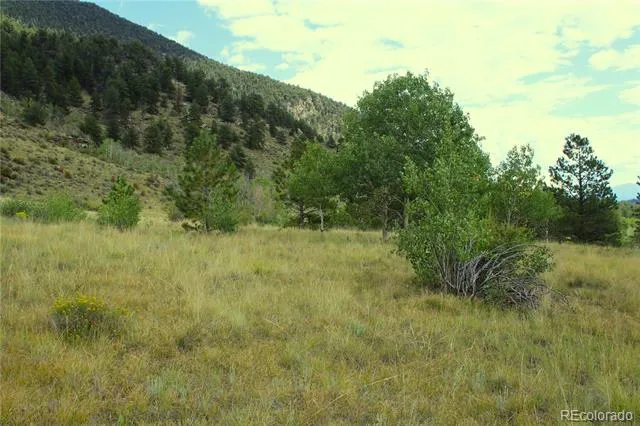 Hwy 24 Hartsel, CO 80827
