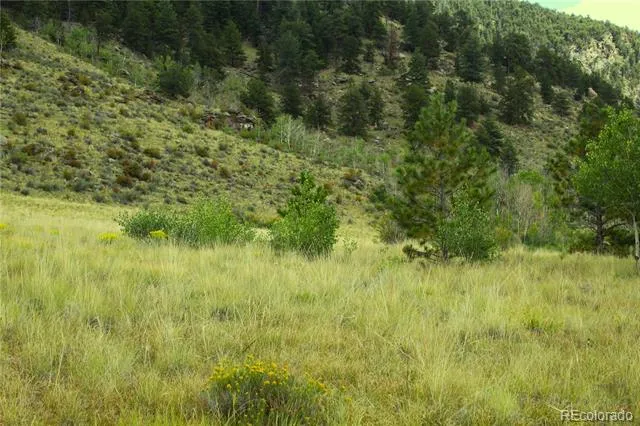 Hwy 24 Hartsel, CO 80827
