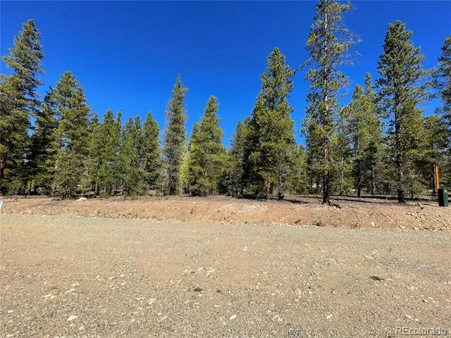 200 Virginia Avenue Leadville, CO 80461