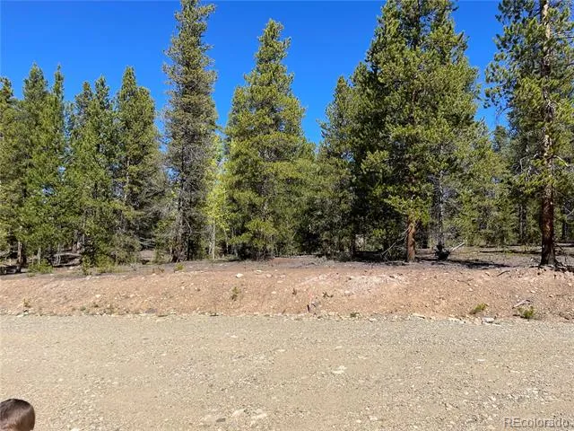 200 Virginia Avenue Leadville, CO 80461