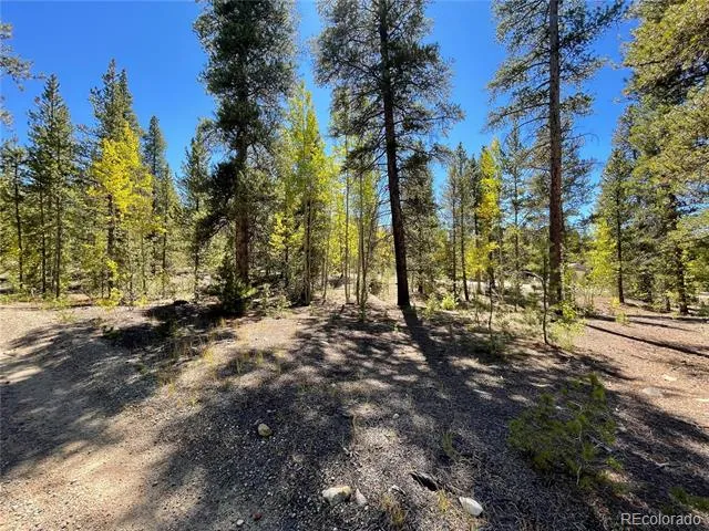 200 Virginia Avenue Leadville, CO 80461