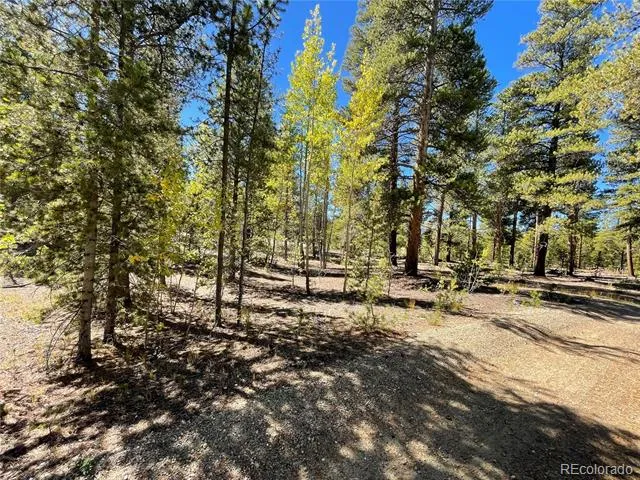 200 Virginia Avenue Leadville, CO 80461