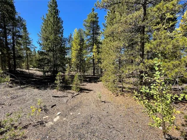 200 Virginia Avenue Leadville, CO 80461