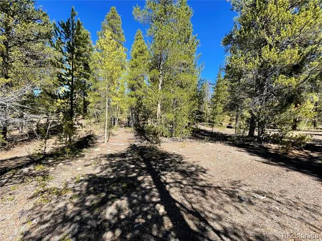 200 Virginia Avenue Leadville, CO 80461