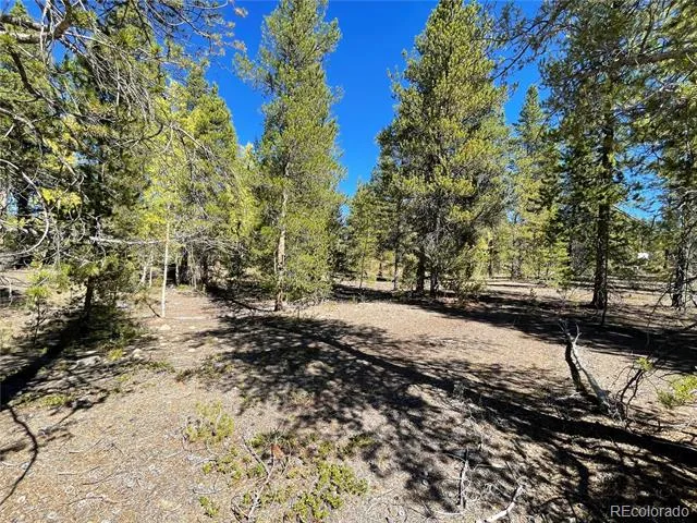 200 Virginia Avenue Leadville, CO 80461