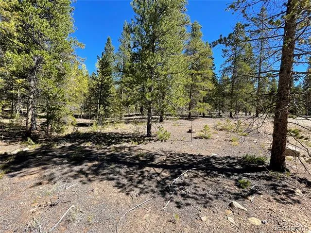 200 Virginia Avenue Leadville, CO 80461