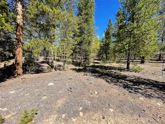 200 Virginia Avenue Leadville, CO 80461