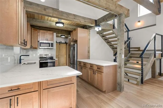 141 Aspen Street Alma, CO 80420