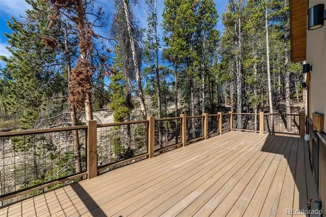 141 Aspen Street Alma, CO 80420