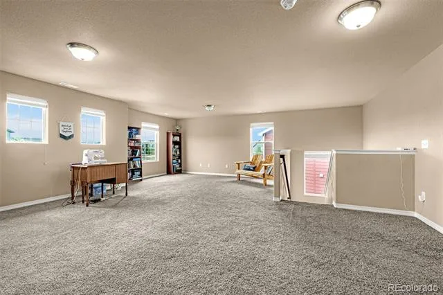 8771 Dry Needle Colorado Springs, CO 80908