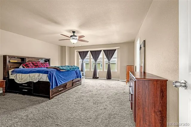 8771 Dry Needle Colorado Springs, CO 80908