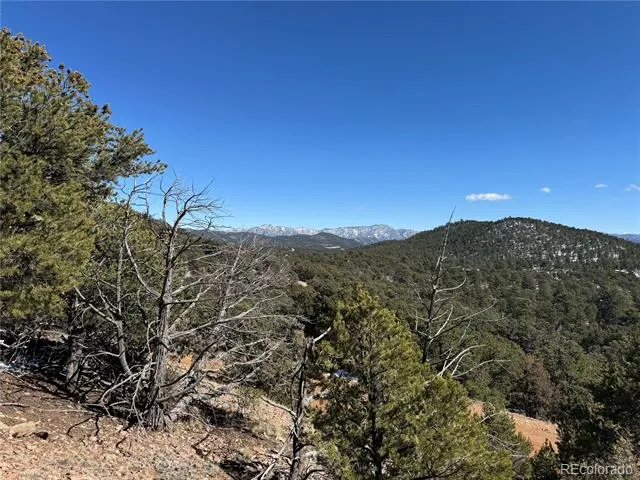 1114 Kevin Drive Cotopaxi, CO 81223
