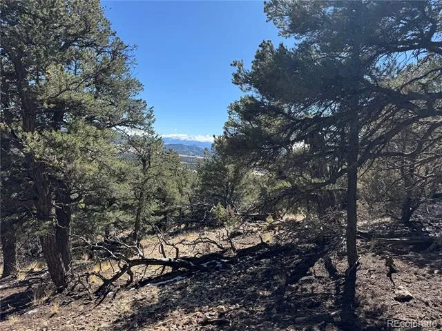 1114 Kevin Drive Cotopaxi, CO 81223