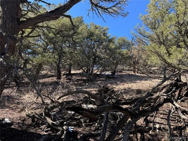 1114 Kevin Drive Cotopaxi, CO 81223