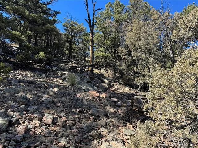 1114 Kevin Drive Cotopaxi, CO 81223
