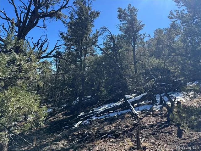 1114 Kevin Drive Cotopaxi, CO 81223