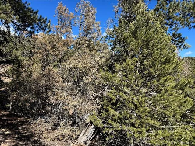 1114 Kevin Drive Cotopaxi, CO 81223